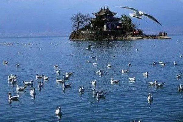 洱海词语解释是什么