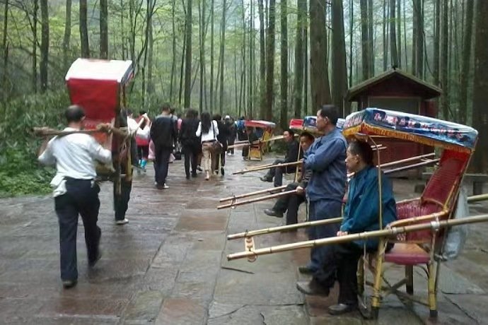 雇轿子抬狗上山女子发声，你觉得雇轿子抬狗合适吗？