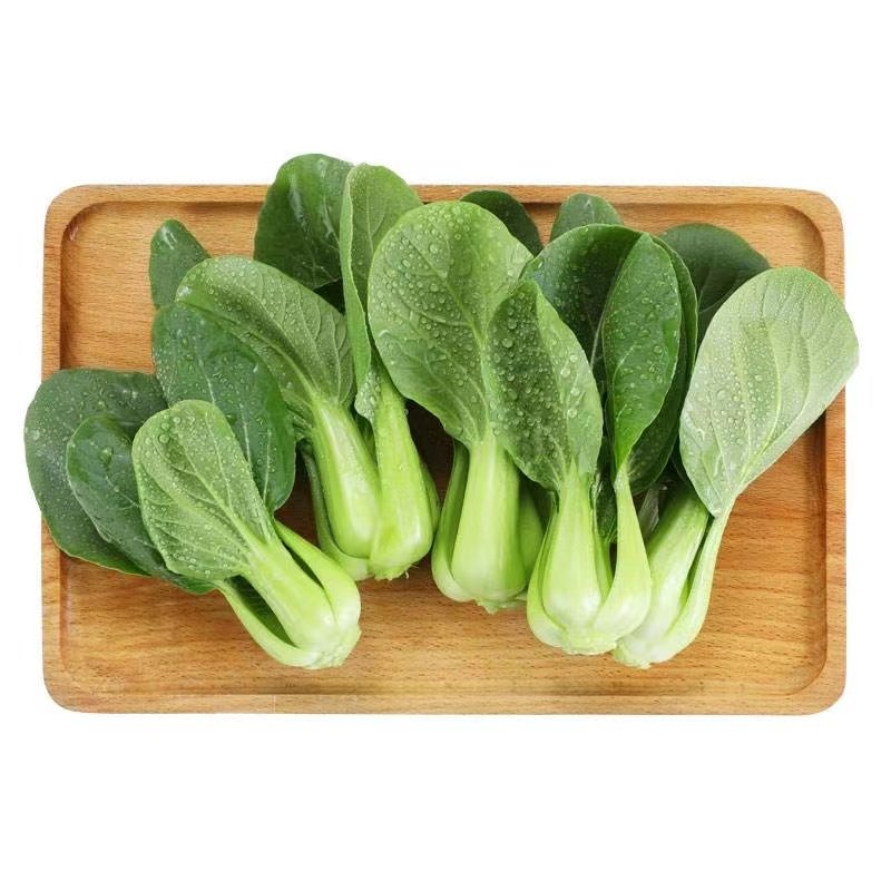 男子在非洲把“上海青”种成了“万年青”，他到底是如何做到的？