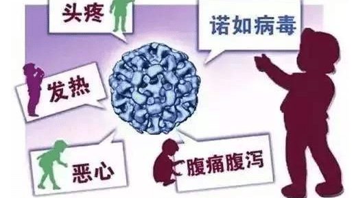 西北名族大学265名学生诺如病毒感染，是因何造成的？