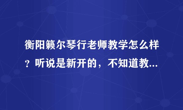 衡阳籁尔琴行老师教学怎么样？听说是新开的，不知道教学质量如何？