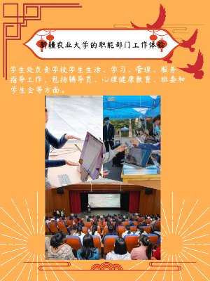 新疆农业大学的职能部门工作体验