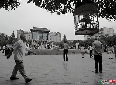 洛阳bbs的删帖管理流程