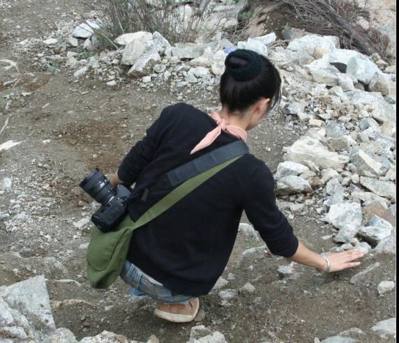 张小砚的个人简介