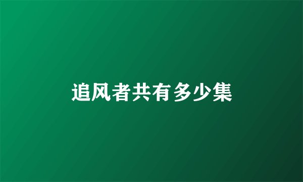 追风者共有多少集