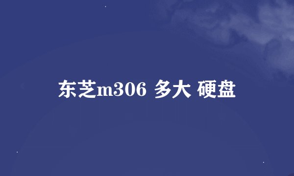 东芝m306 多大 硬盘
