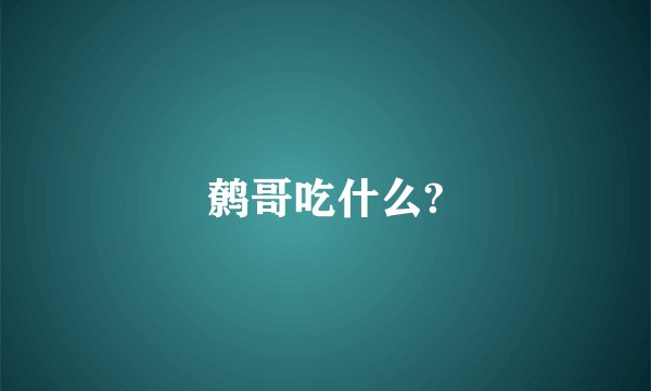 鹩哥吃什么?