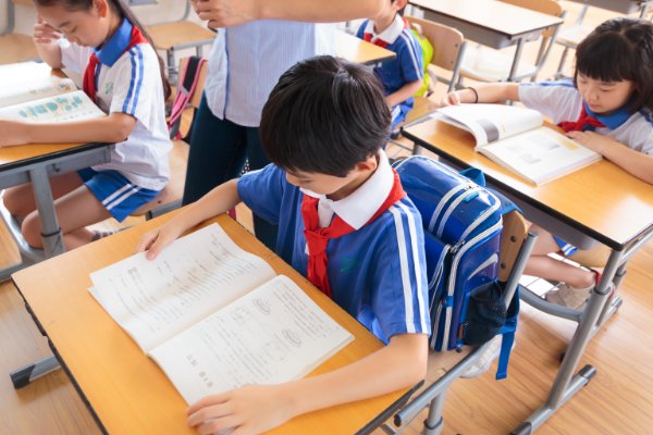 循环小数有哪些种类？