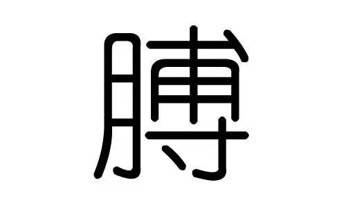 膊的拼音怎么写