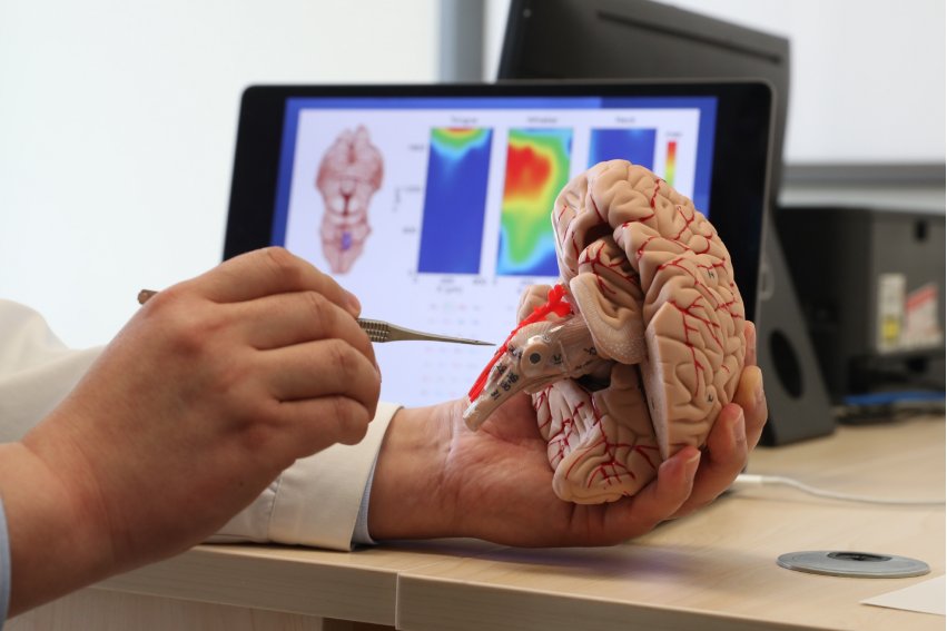 脑袋的拼音怎么写的？