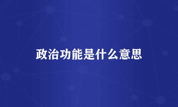 政治功能是什么意思