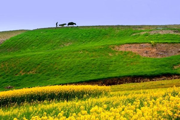 风暖曰丽打一生肖