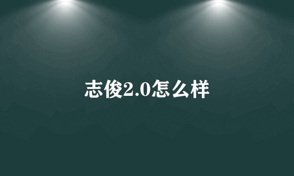 志俊2.0怎么样