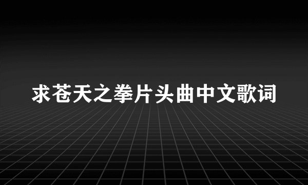 求苍天之拳片头曲中文歌词