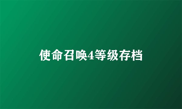 使命召唤4等级存档