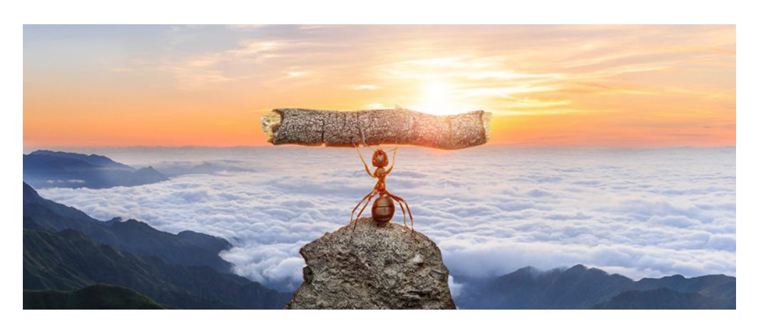 蚍蜉撼大树什么意思