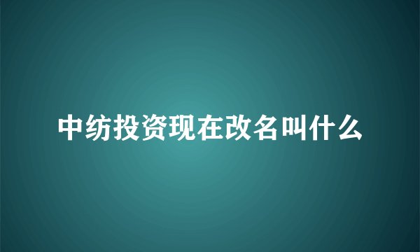 中纺投资现在改名叫什么