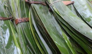 粽子叶煮几分钟合适 粽子叶煮几分钟最好