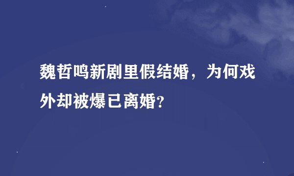 魏哲鸣新剧里假结婚，为何戏外却被爆已离婚？