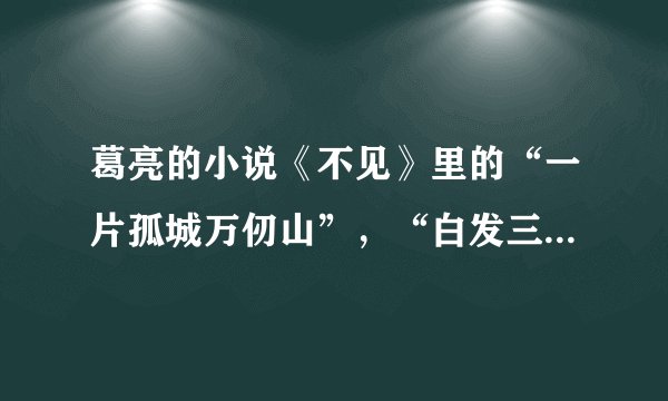 葛亮的小说《不见》里的“一片孤城万仞山”，“白发三千丈”是什么意思？