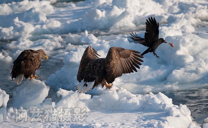 新雕英雄传的节章目录