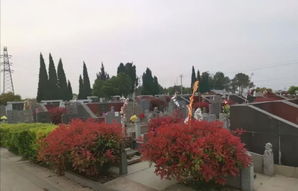 江苏常州公墓疑似划分“干部区”引发热议，该单位对此有何回应？