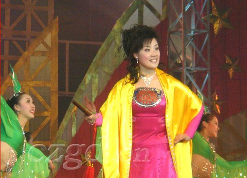 潞安鼓书的状况