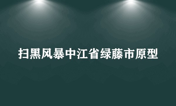 扫黑风暴中江省绿藤市原型