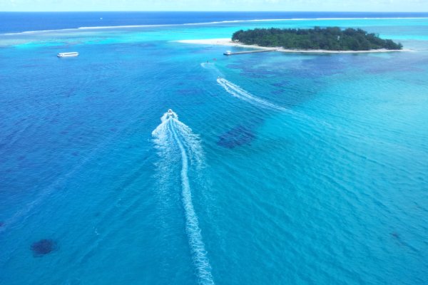 太平洋英语怎么读