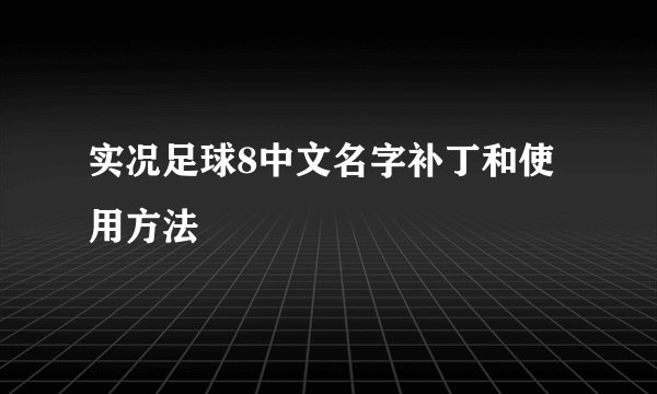 实况足球8中文名字补丁和使用方法