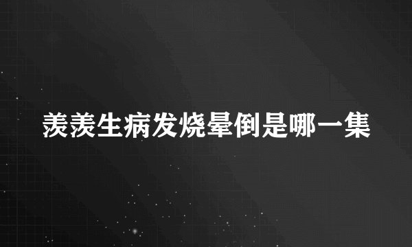 羡羡生病发烧晕倒是哪一集