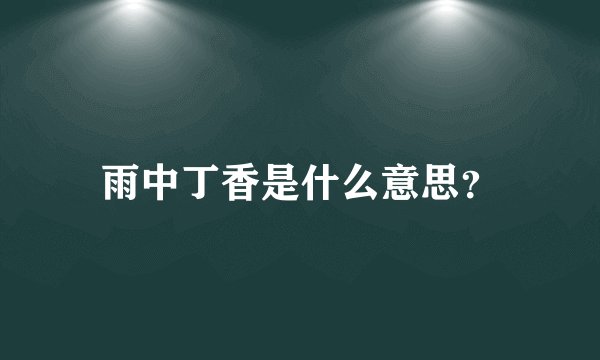 雨中丁香是什么意思？