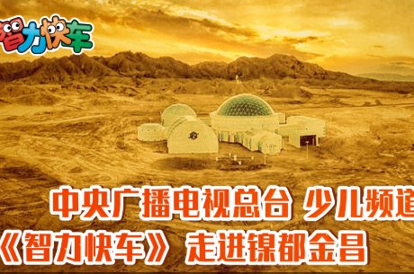 CCTV14是什么频道？