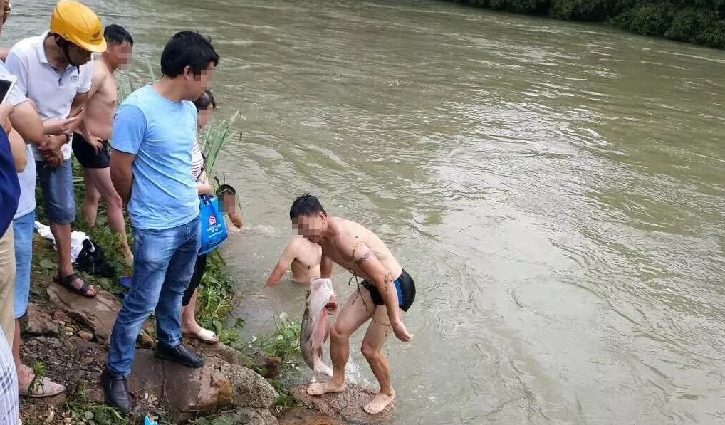 江西山口岩水库二次泄洪，百余村民水库下游“捡鱼”，这种行为有哪些隐患？