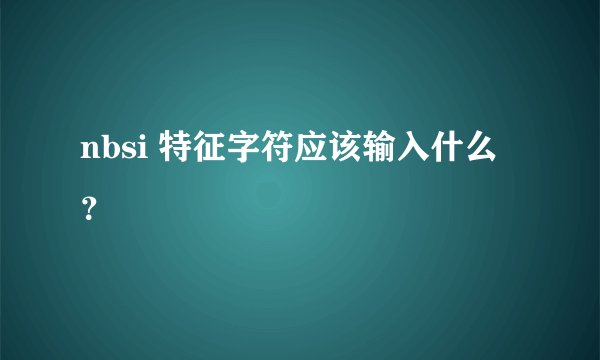 nbsi 特征字符应该输入什么？