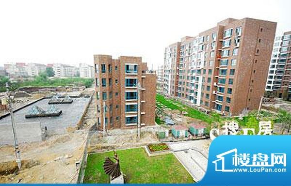 大禹城邦的介绍