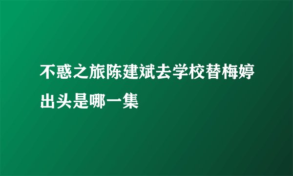 不惑之旅陈建斌去学校替梅婷出头是哪一集