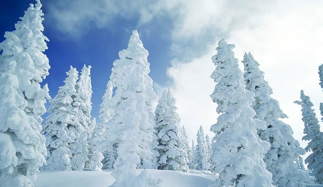 雪的精神是什么