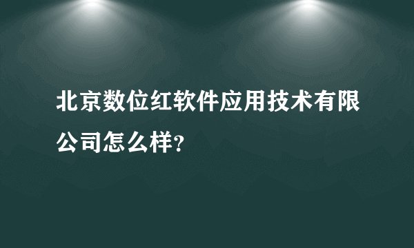北京数位红软件应用技术有限公司怎么样？