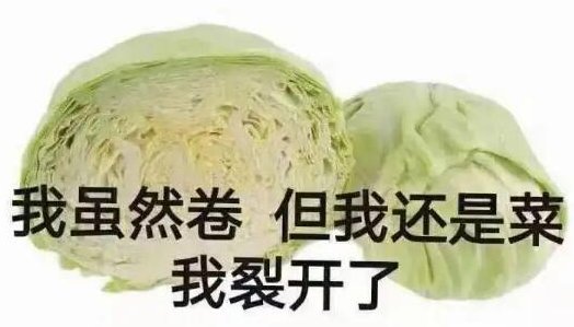 卷心菜是什么梗？
