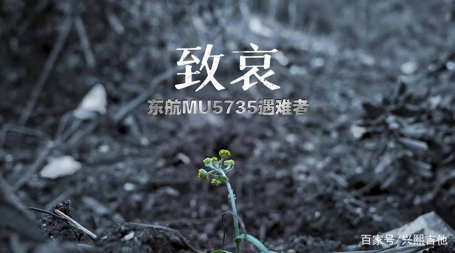 东航遇难人员家属获14笔赔款，此次事故具体会如何赔偿？