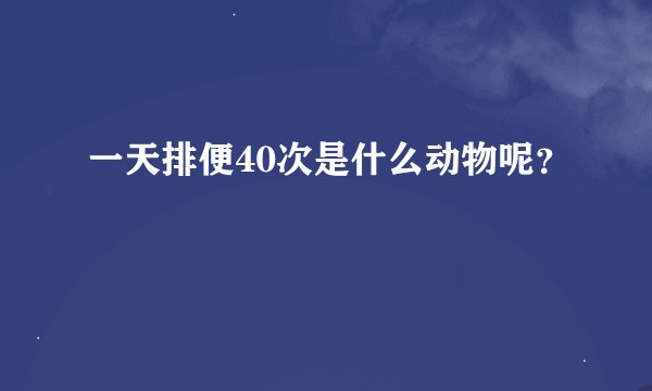一天排便40次是什么动物呢？