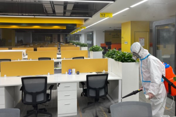 除甲醛公司哪家好