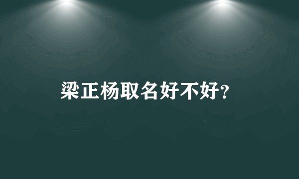 梁正杨取名好不好？