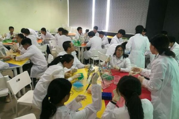 分子模型有哪些