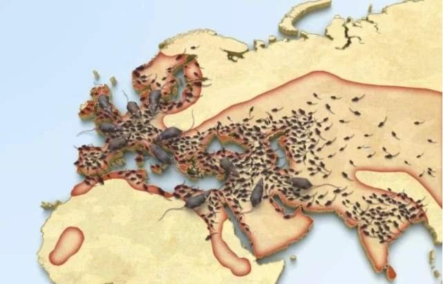 内蒙古57个旗县鼠疫风险地图，现在的鼠疫情况怎么样了？