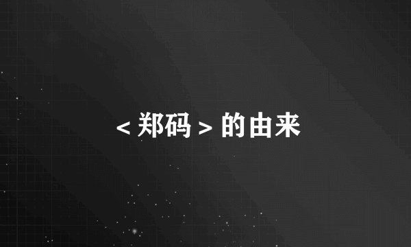 ＜郑码＞的由来