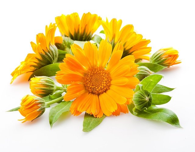 生活中有哪些不经意之间冒出的小美好？