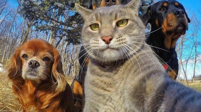 funny mud pee翻译成中文