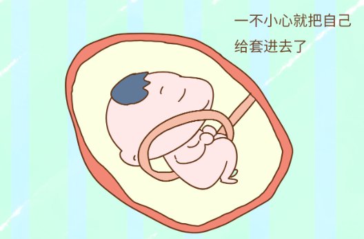 脐的拼音怎么读